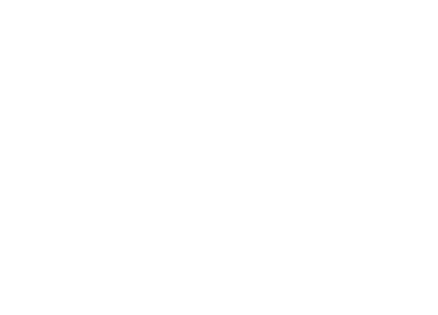 Rapid EV White Logo